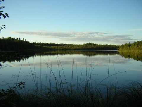 20030906Agnsjön